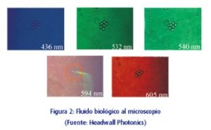 Las siguientes imágenes fueron captadas con una cámara multiespectral con filtros espectrales en 436, 532, 540, 594 y 605nm ± 20nm (representación en falso color), figura 2.